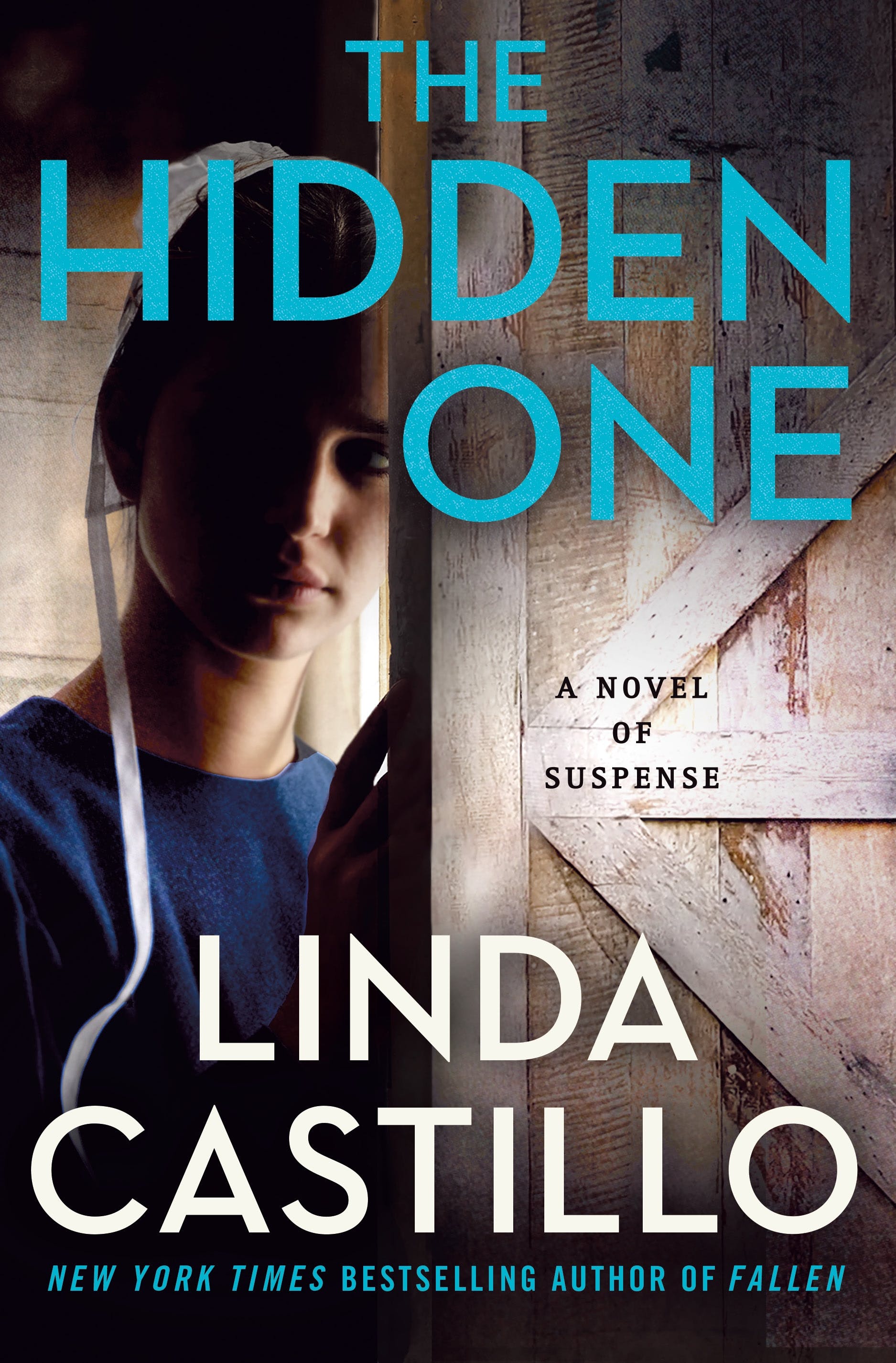 Image for "The Hidden One"