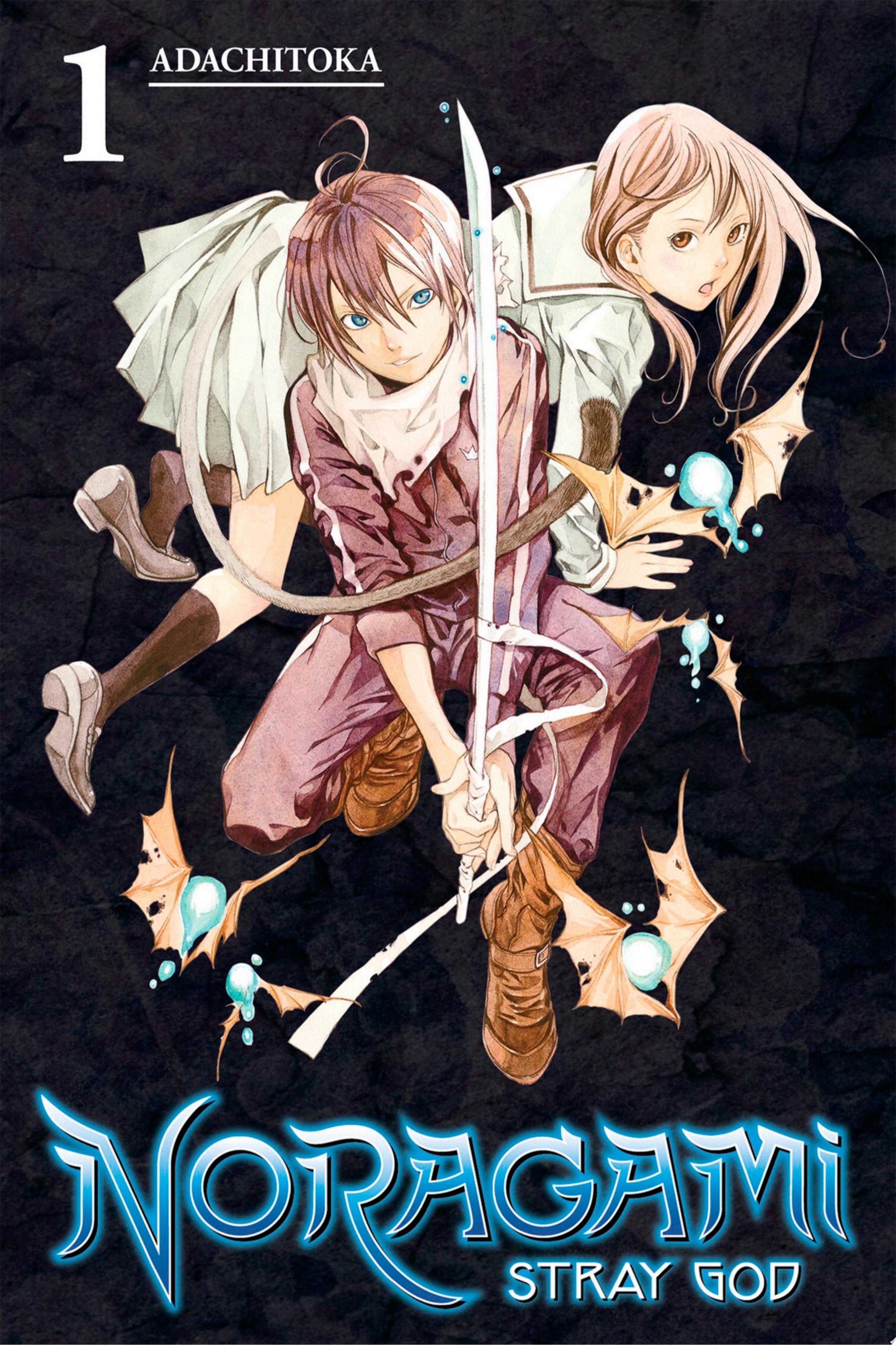 Image for "Noragami: Stray God"