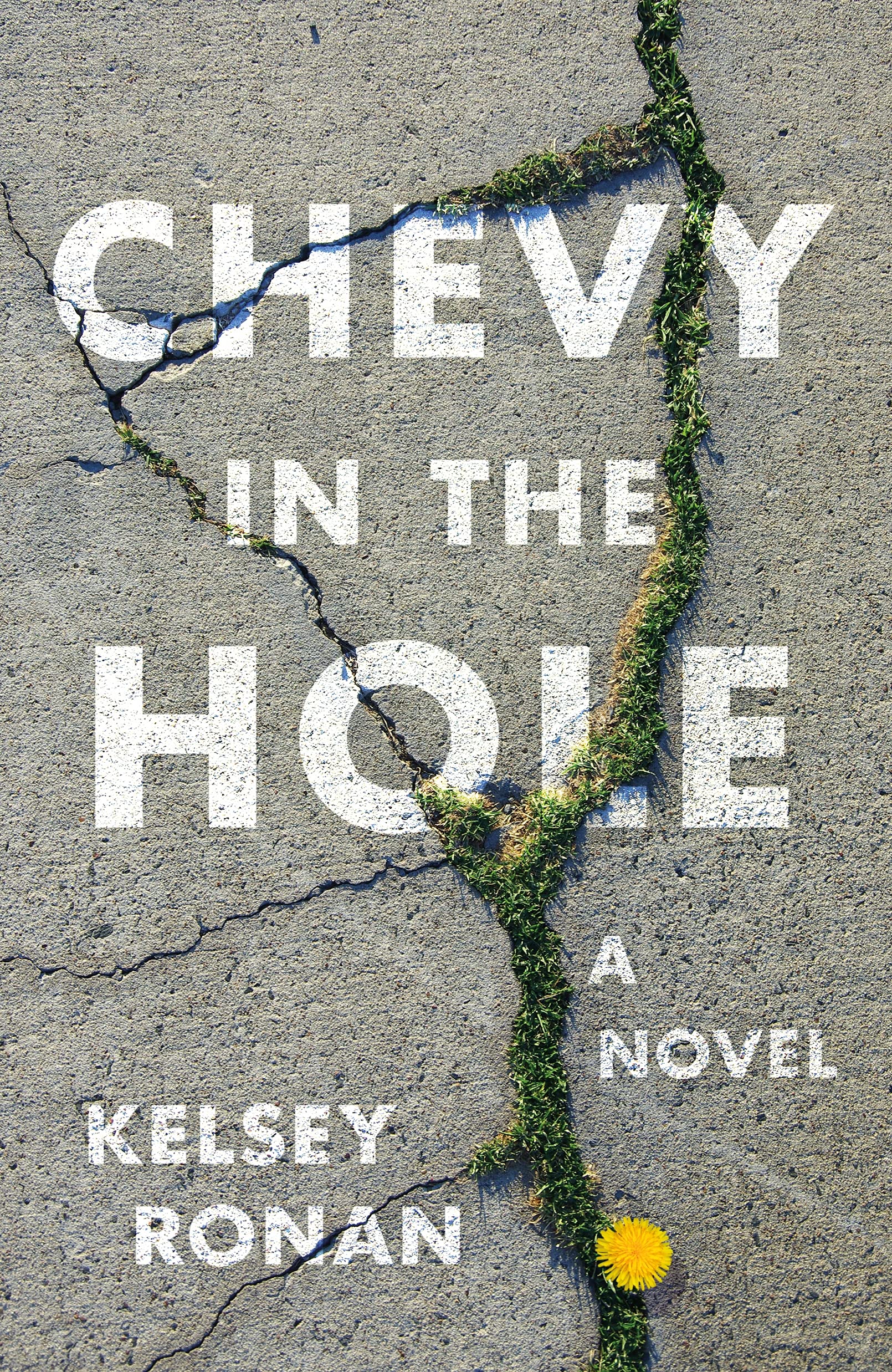Image for "Chevy in the Hole"