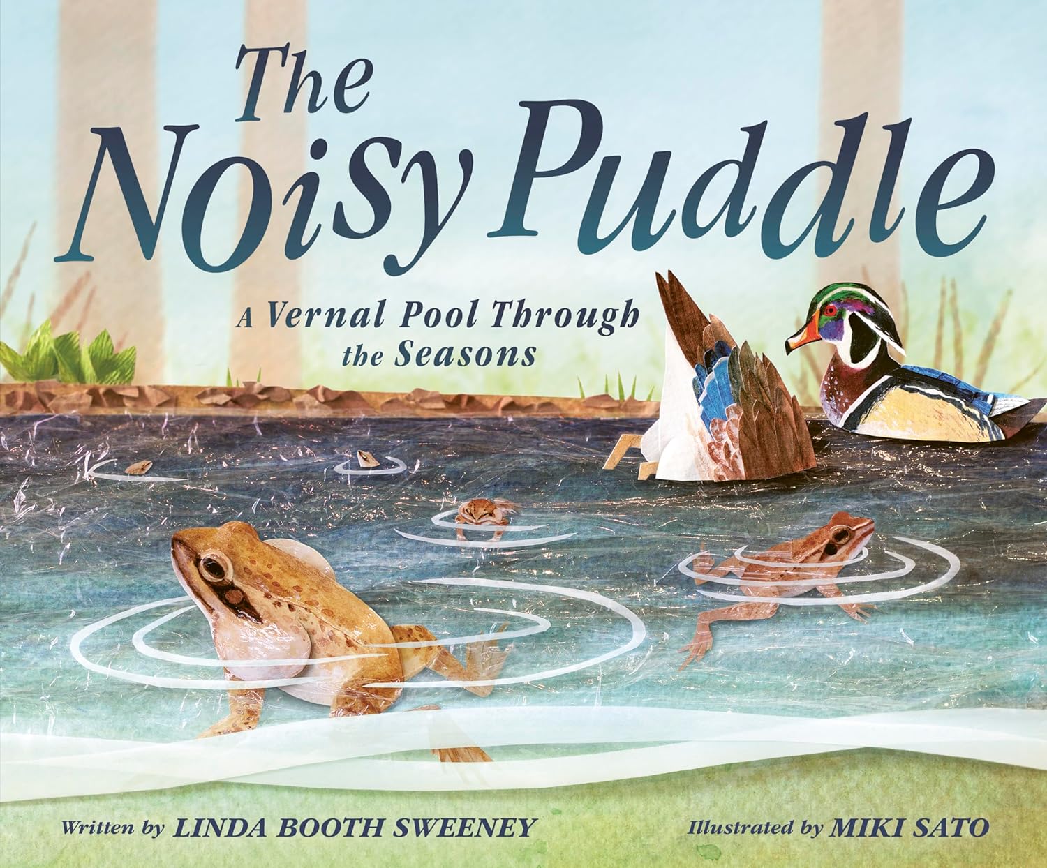 Image for "The Noisy Puddle"