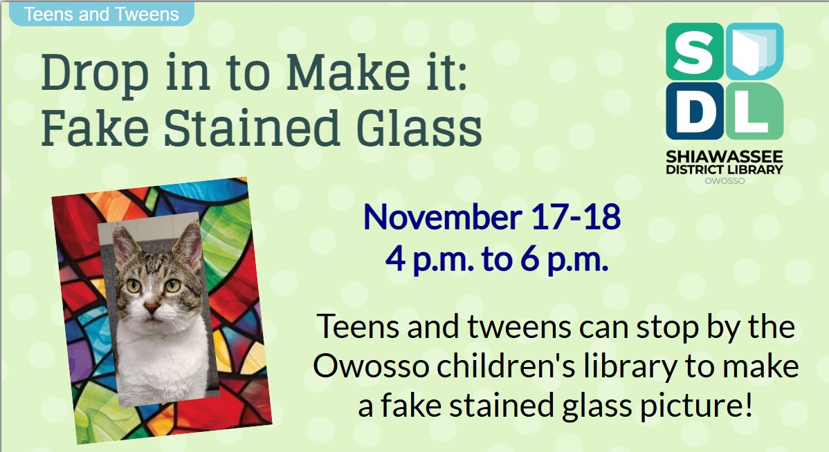 program info featuring a stained glass portrait with Mikah the Library Cat 