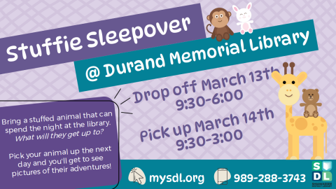 Image of Stuffie Sleepover at Durand Memorial Library March 13 and March 14