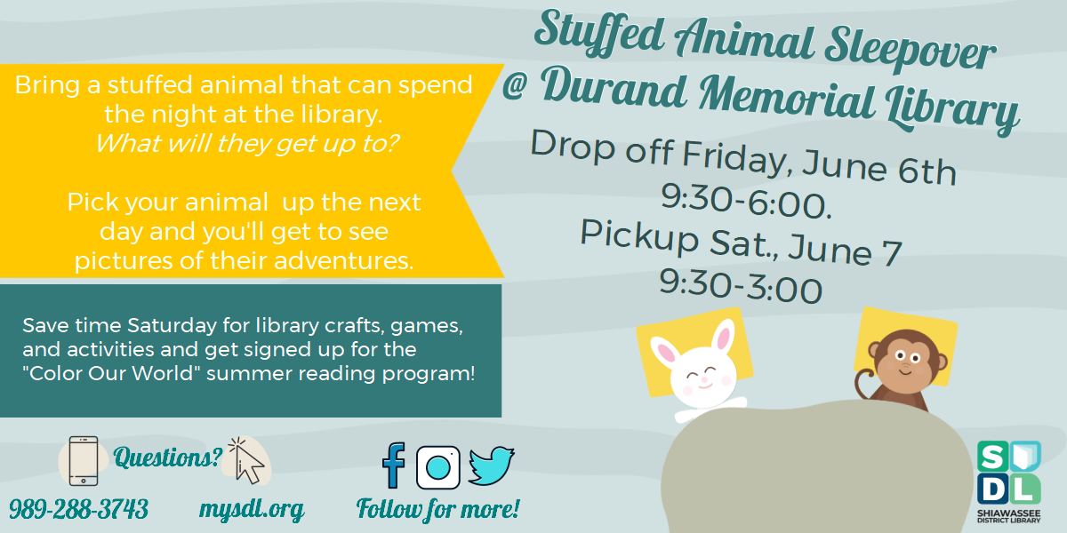 Stuffed Animal Sleepover at Durand Memorial Library Friday June 6 drop off all day.