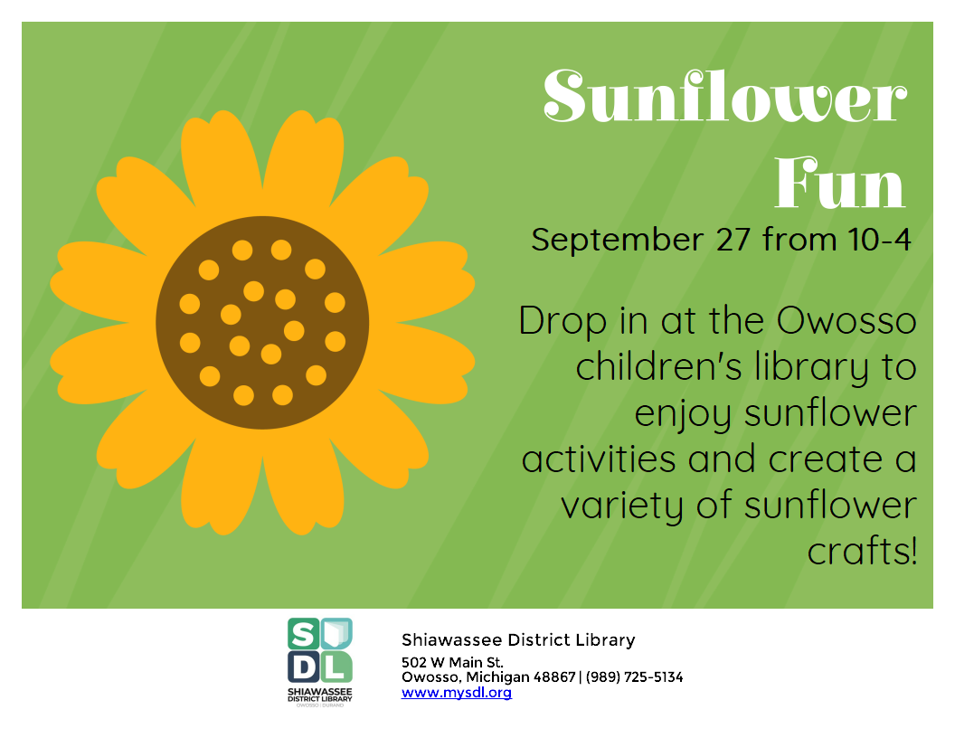 Sunflower Fun