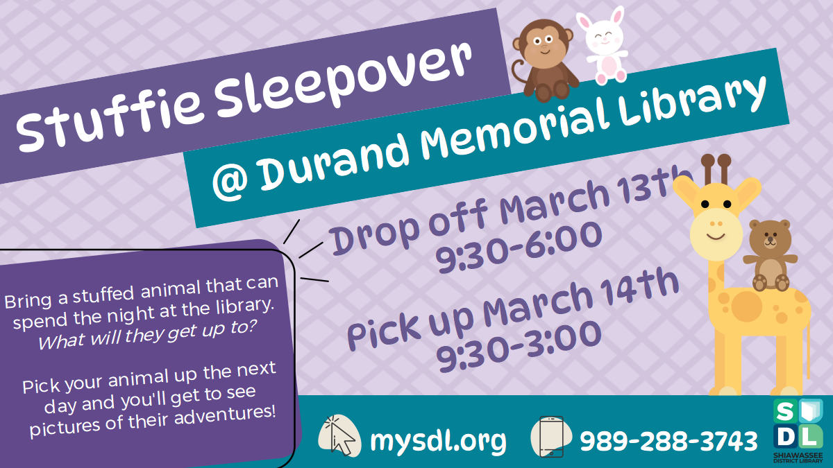 Image of Stuffie Sleepover at Durand Memorial Library March 13 and March 14