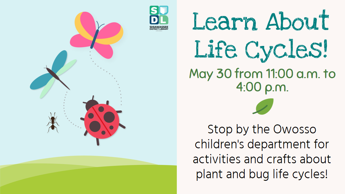 Learn About Life Cycles!
